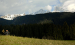 Chris Watson at Paneveggio Park - Pale San Martino, May 2008 (photo by Valentina Musmeci)