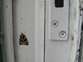 The appearance of a Jersey Tiger Moth at Flat Time House, detail, 30 July 2010